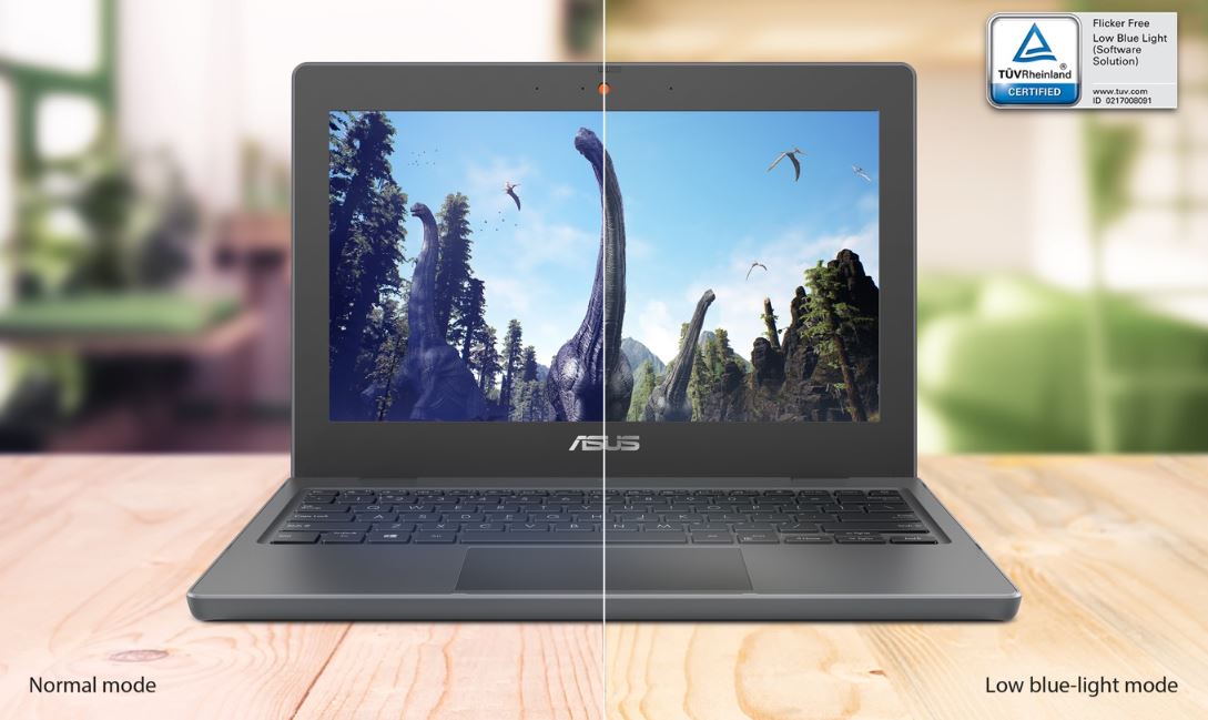 Asus LaptopBR1100N4500116''''1366x7684GB64GB eMMCUHDW11PGray2R