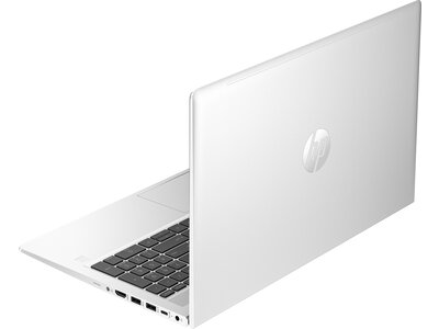 Notebook HP ProBook 455 G10 85B88EA stříbrný silver