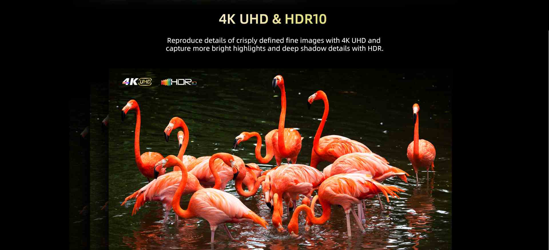 43 LED TV CHiQ U43QM8E