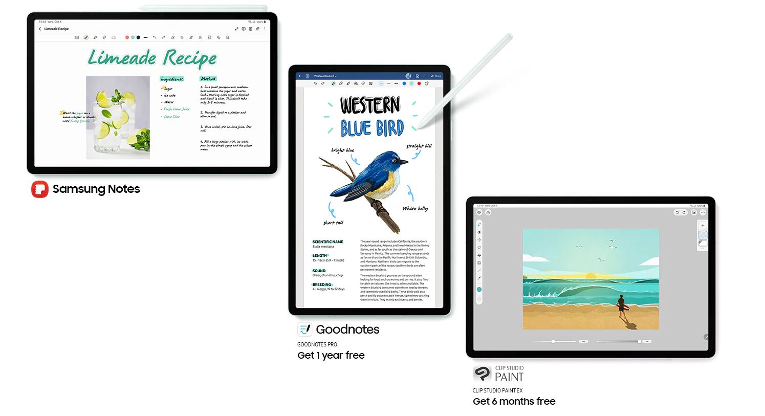 Tablet SAMSUNG Galaxy Tab S9 FE+ 5GSMX616 šedý gray