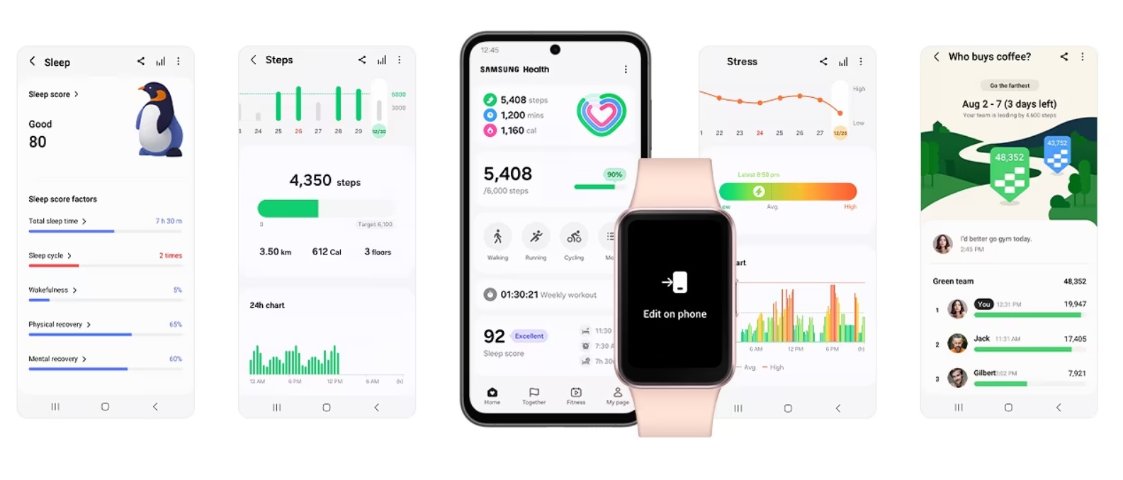 Fitness náramek SAMSUNG Galaxy Fit3 Silver