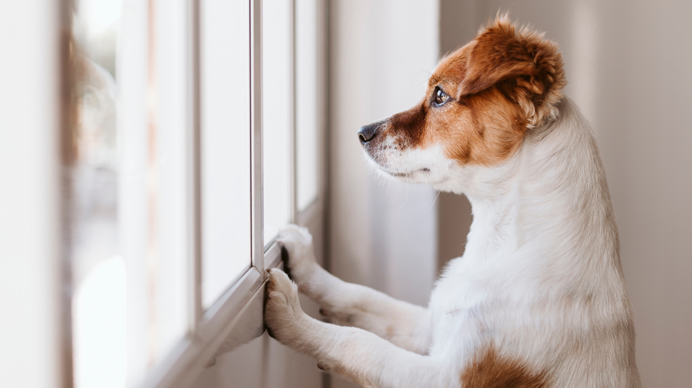 Meteorologická stanice SENCOR SWS 4500