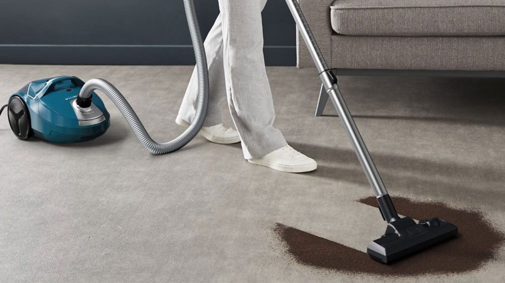 Vysavač ROWENTA RO3950EA