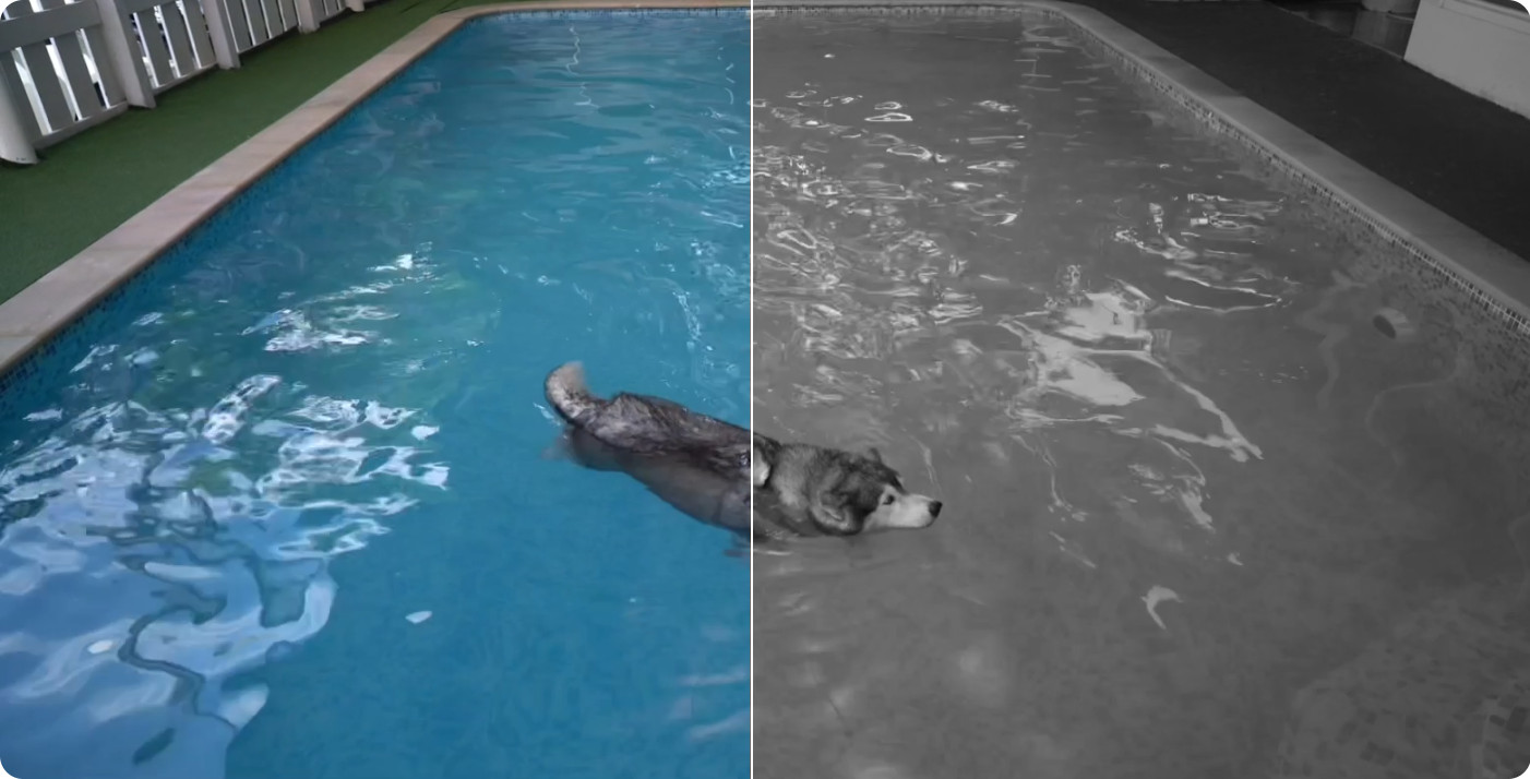 Kamera TPLINK Tapo C410 Smart