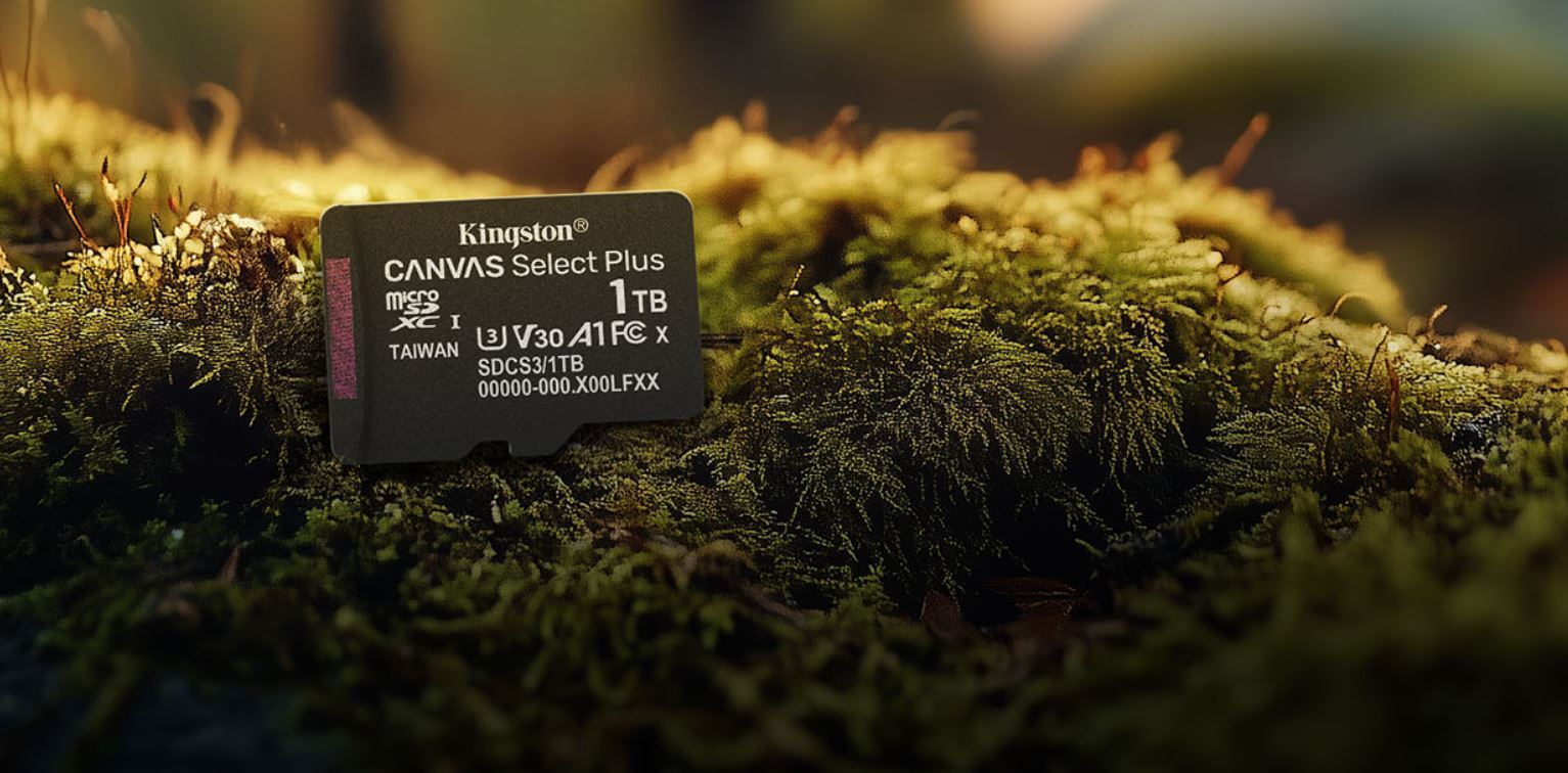 Paměťová karta KINGSTON microSDXC 512GB Canvas Select Plus