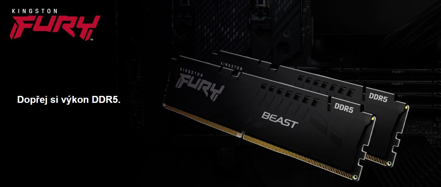 Paměťový modul KINGSTON FURY Beast DDR5 8GB 5600MHz
