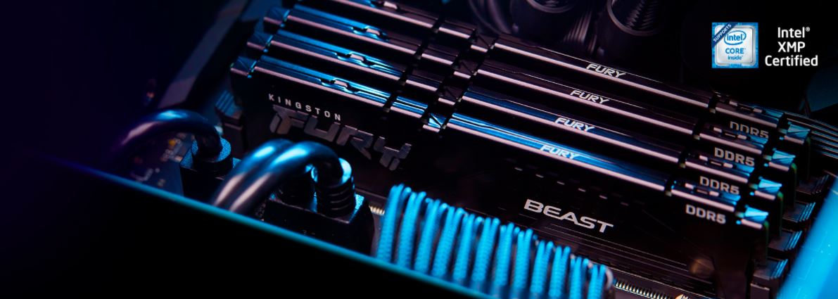 Paměťový modul KINGSTON FURY Beast DDR5 8GB 5600MHz