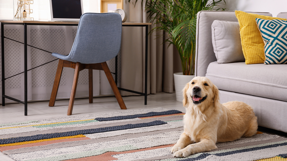 Vysavač KÄRCHER VC 2