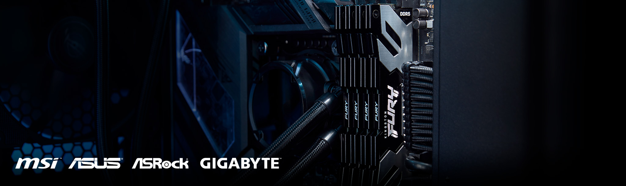Kingston FURY RenegadeCUDIMM DDR524GB8400MHzCL401x24GBWhite